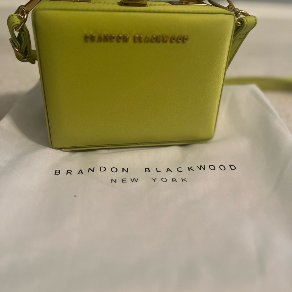 Brandon Blackwood crossbody/handbag